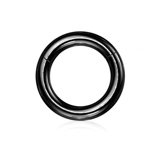 Large Gauge Steel Hinged Segment Ring, Black (8g-4g)