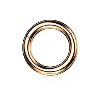 Large Gauge Steel Hinged Segment Ring, Gold (8g-4g)