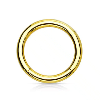 Gold Surgical Steel Hinged Segment Ring (20g-16g)