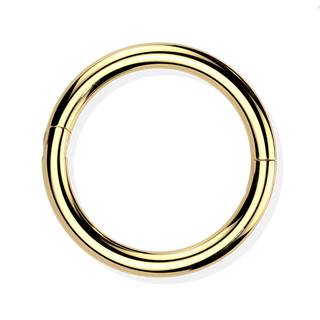 Titanium Hinged Ring - Hook Closure