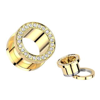Implant Grade Titanium Double Flared Screw Fit Tunnel With CZ Rim - Gold