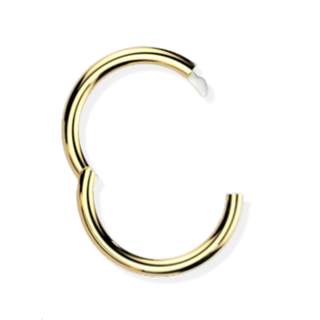 Titanium Hinged Ring - Hook Closure