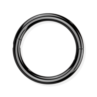 Titanium Hinged Ring - Hook Closure