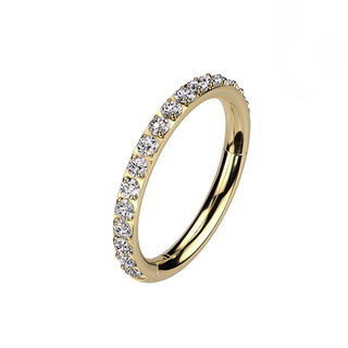 Titanium Hinged Segment Hoop Ring with Outward Facing Pavé CZ - Gold