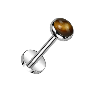 Titanium Threadless Flat Back Stud with Natural Tiger Eye
