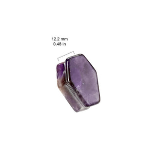 Amethyst Coffin Plug