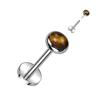 Titanium Threadless Flat Back Stud with Natural Tiger Eye