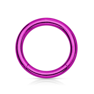 Purple Surgical Steel Hinged Segment Ring (20g-14g)