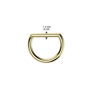 Silver Titanium D-Shape Hinged Segment Ring (16g)