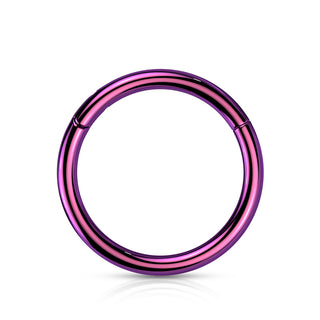 Purple Implant Grade Titanium Hinged Segment Ring (20g-18g)