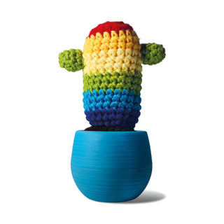 Fun Cactus Rainbow: Learn Crochet Kit