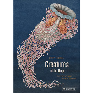 Creatures of the Deep Pop Up Art Book