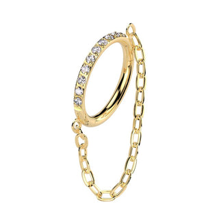 Titanium Chain Hinged Segment Ring - Gold (16g)