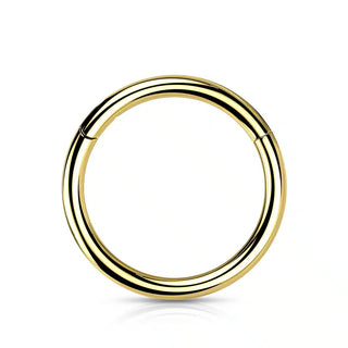 Gold Implant Grade Titanium Hinged Segment Ring (20g-16g)