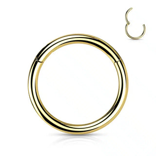 Gold Implant Grade Titanium Hinged Segment Ring (20g-16g)