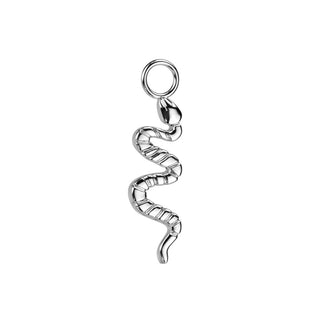 Snake Charm - Silver Titanium